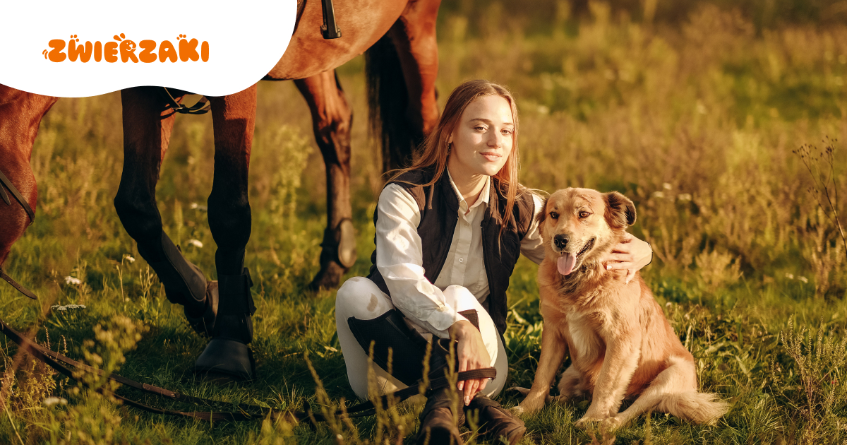 Relacja z adoptowanym zwierzakiem. Jak ją zbudować?